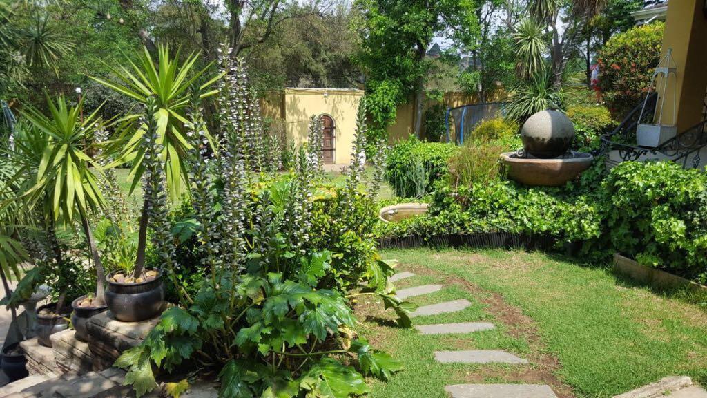 Villa Mikamora Johannesburg Exterior photo